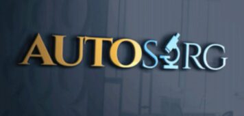 Business Identity Design Services