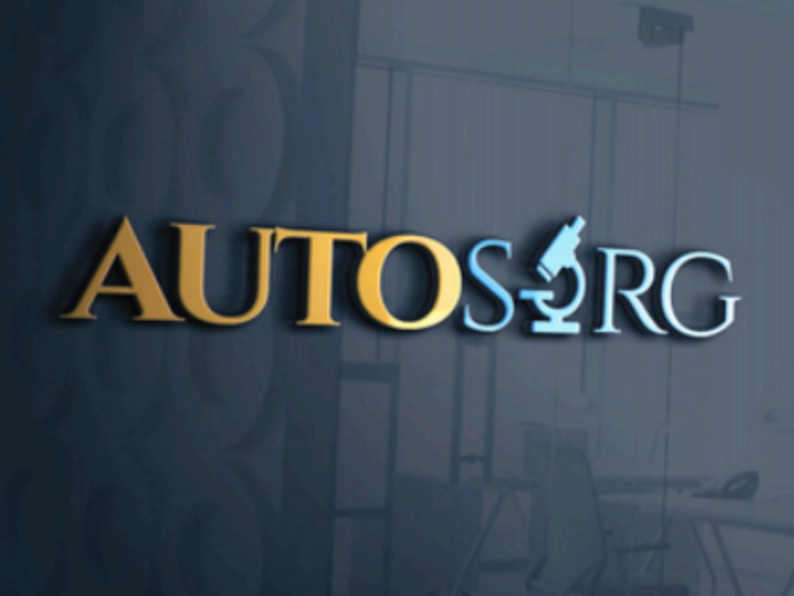 Business Identity Design Services