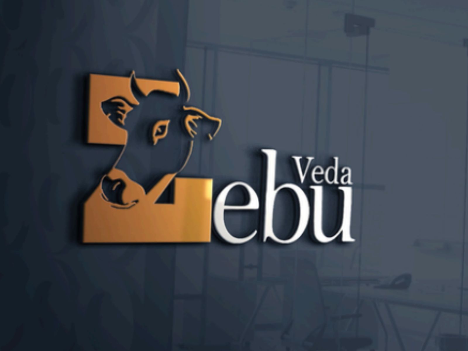 Professional Brand Identity Design Services