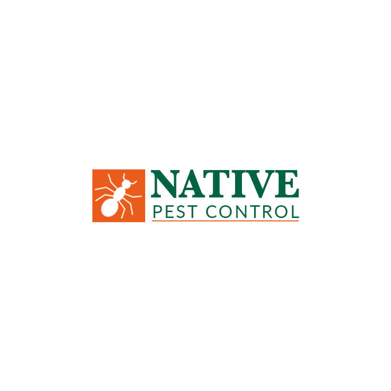 Logo Redesign Company In Greater Noida