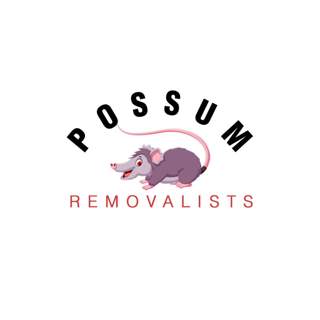 UI Design In Noida