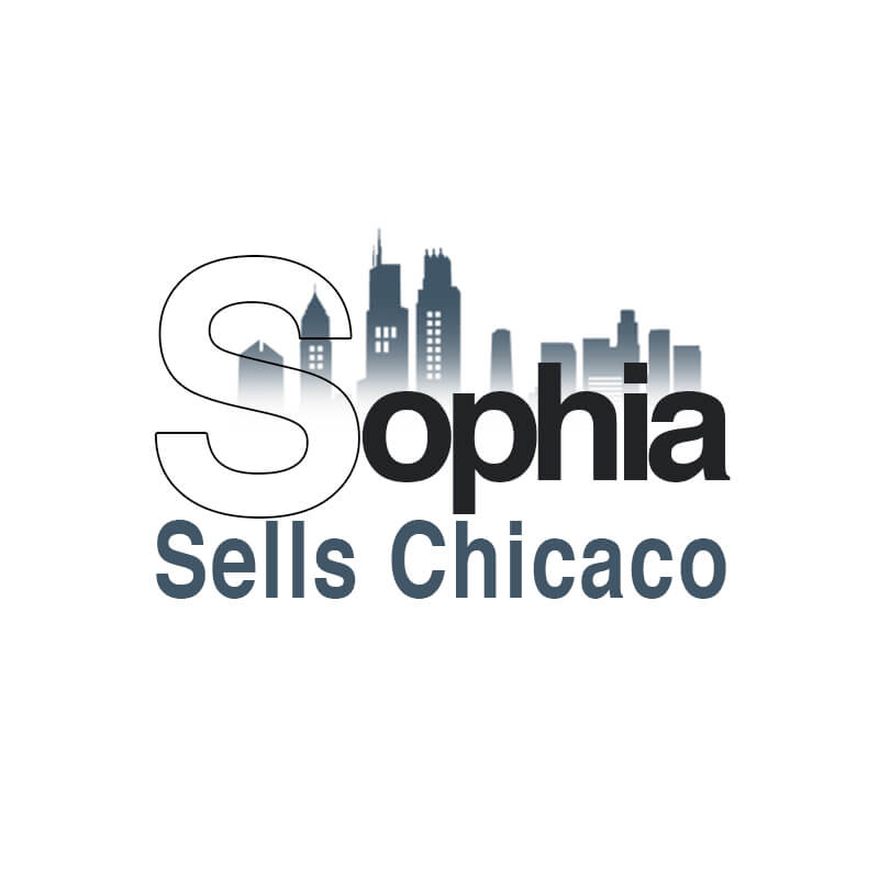 Logo Redesign In Noida
