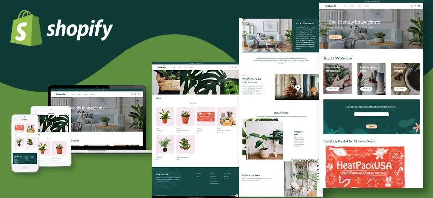 Best shopify developer in delhi ncr | shopify developer in Greater Noida