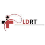 healthcare website development greater noida