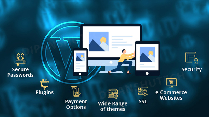 Custom Website Design Services Greater Noida