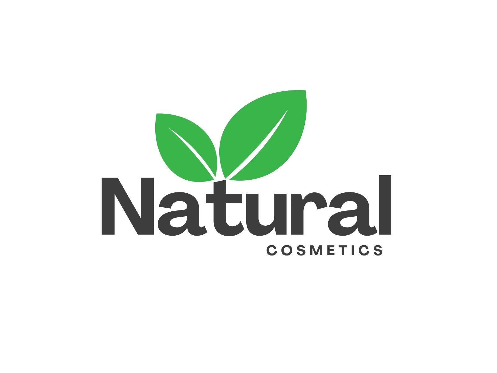 Best Corporate Logo Designers in Chicago, USA