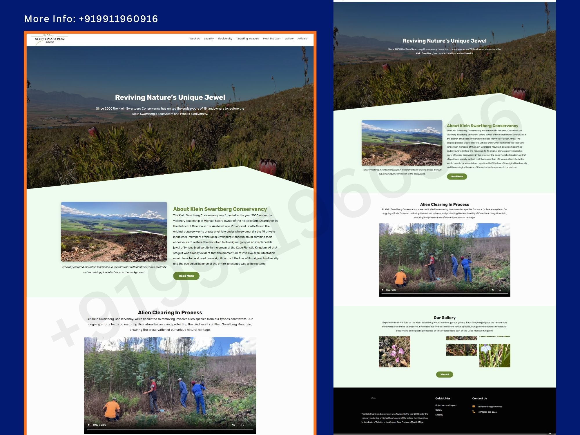 Premium Wine Website Design