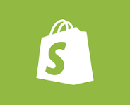 Custom & Professional Shopify Store